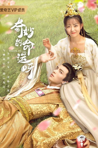 奇妙的命运呀海报