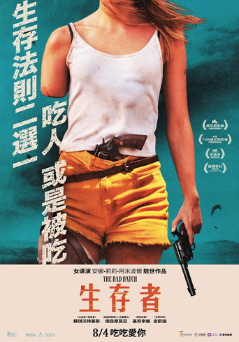 劣质爱情海报