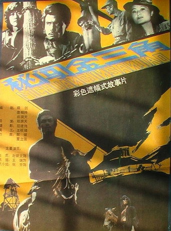 秘闯金三角海报