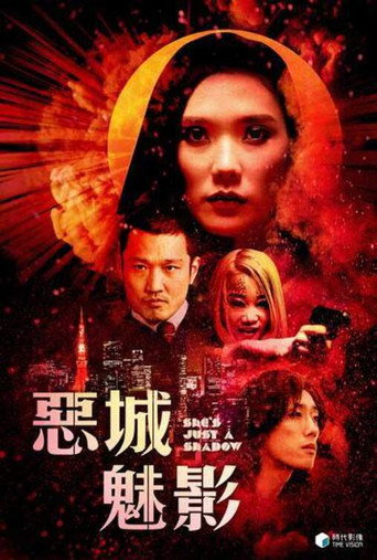 倩影伊人海报