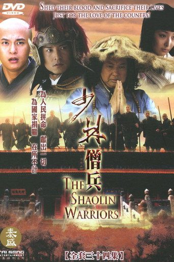 少林僧兵海报