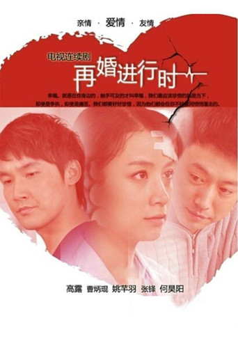 再婚进行时海报