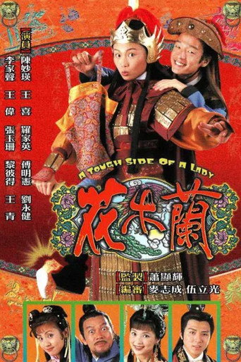 花木兰海报