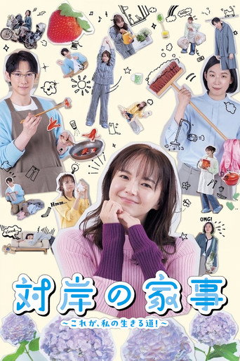 对岸的家务事～这就是我的生存之道！～海报