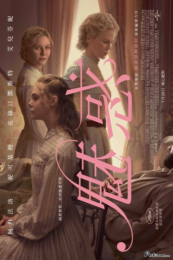 牡丹花下海报