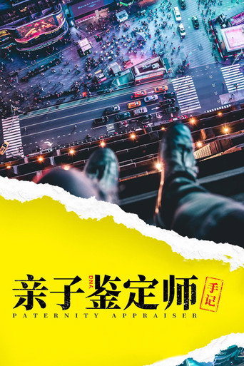 亲子鉴定师手记海报