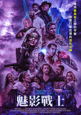 幻影战士海报