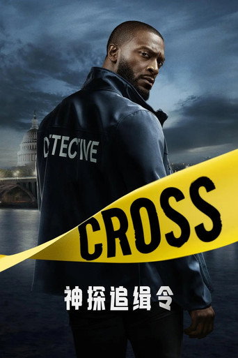 神探追缉令 第 1 季海报