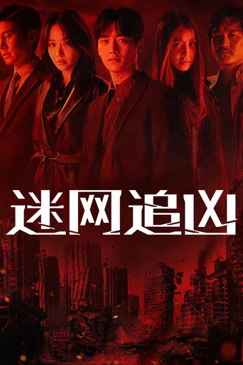 迷网追凶海报