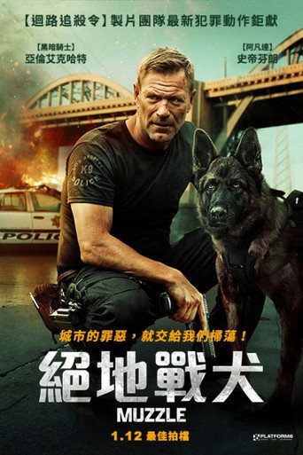 神探忠犬海报