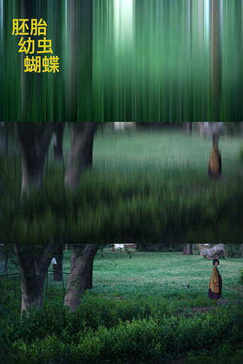 胚胎,幼虫,蝴蝶海报
