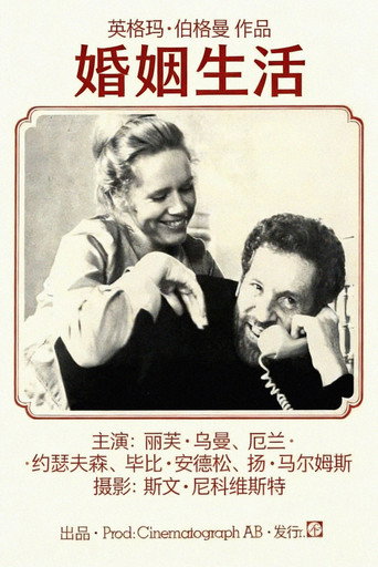 婚姻生活海报