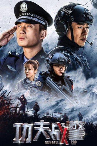功夫战警海报