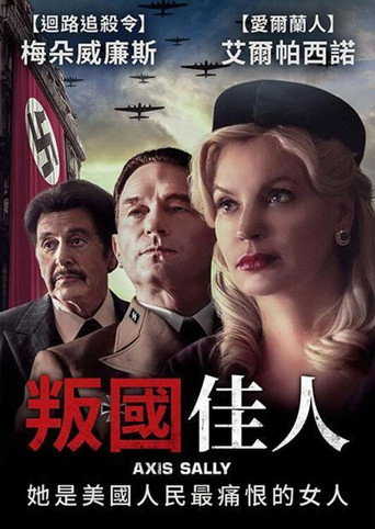 美国叛徒：轴心莎莉的审判海报
