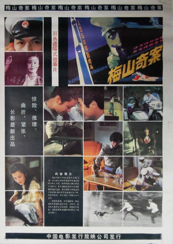 梅山奇案海报