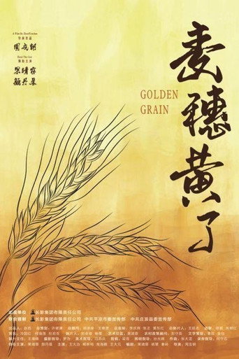 麦穗黄了海报