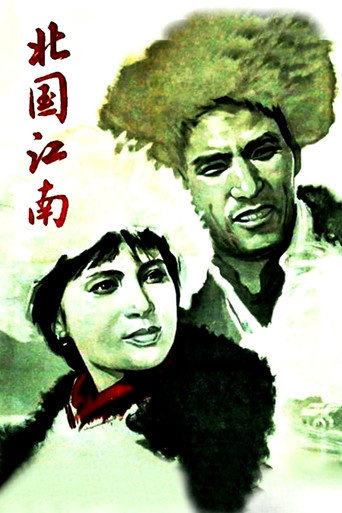 北国江南海报