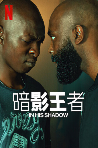 暗影王者海报