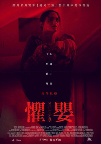 死产儿海报
