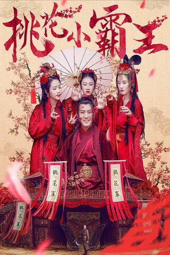 桃花小霸王海报