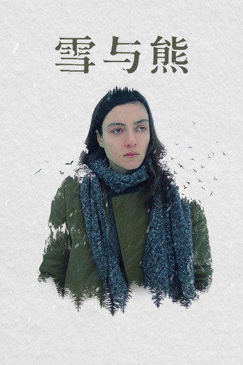 雪与熊海报