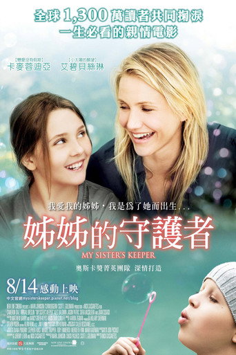姐姐的守护者海报
