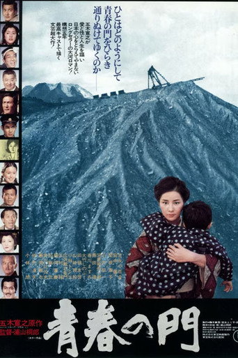 青春之门海报