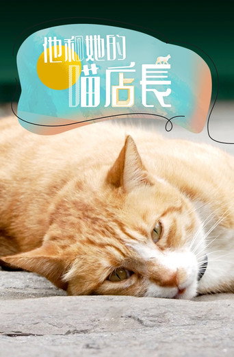 他和她的喵店长海报