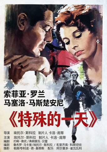 特殊的一天海报