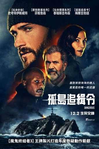 危险境地海报