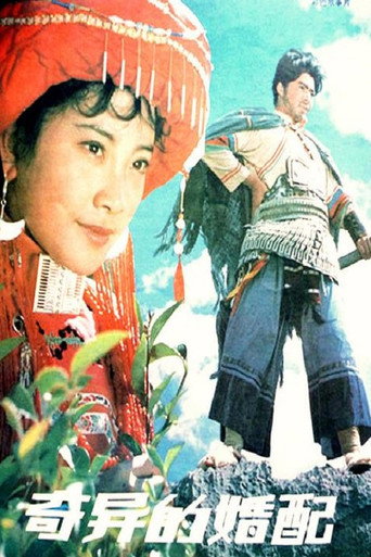 奇异的婚配海报