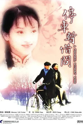 烟雨红颜海报