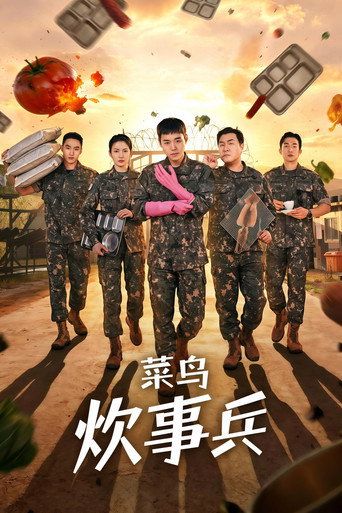 菜鸟炊事兵海报