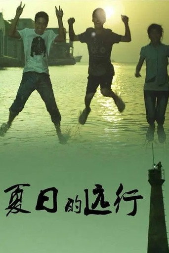 夏日的远行海报