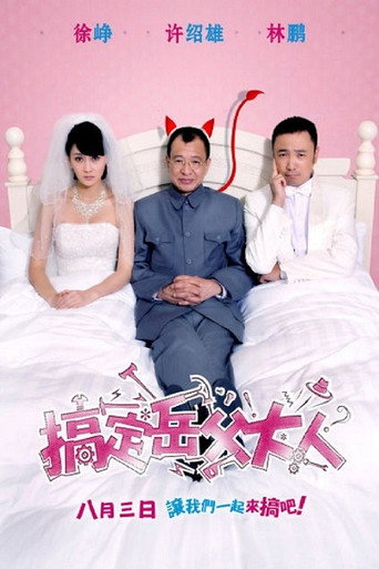 搞定岳父大人海报