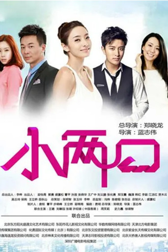 小两口海报