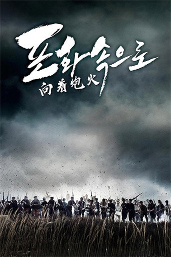 向着炮火海报