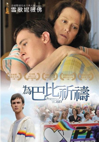 天佑鲍比海报