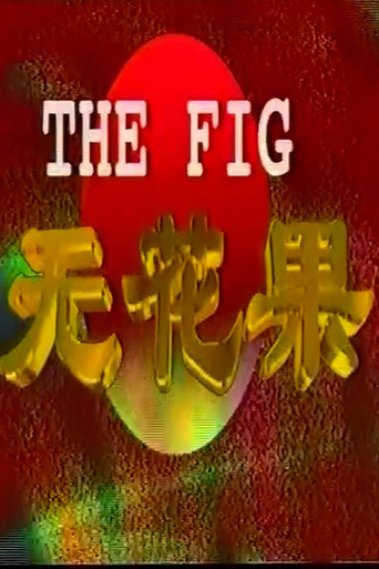 无花果海报