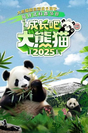 成长吧！大熊猫 成长吧！大熊猫2025海报