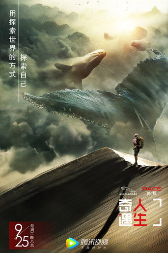 奇遇人生 第 1 季海报