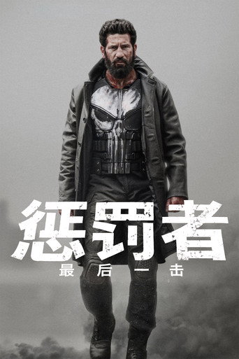 惩罚者：最后一击海报