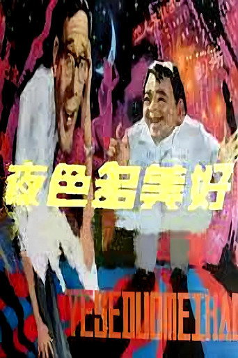 夜色多美好海报
