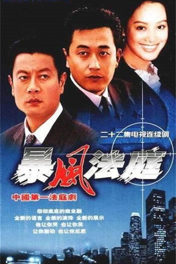 暴风法庭海报