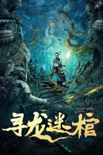 寻龙迷棺海报