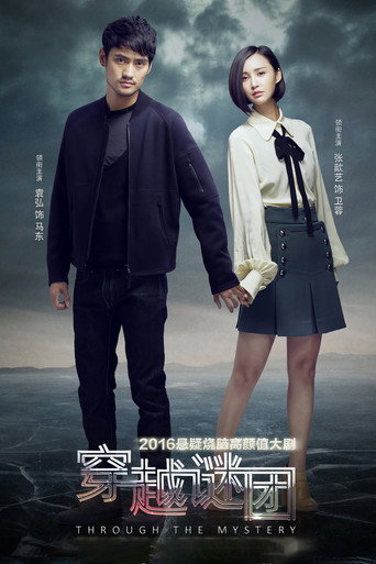 穿越谜团海报