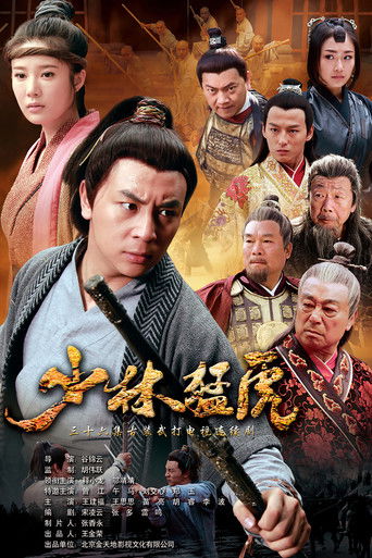武林猛虎海报