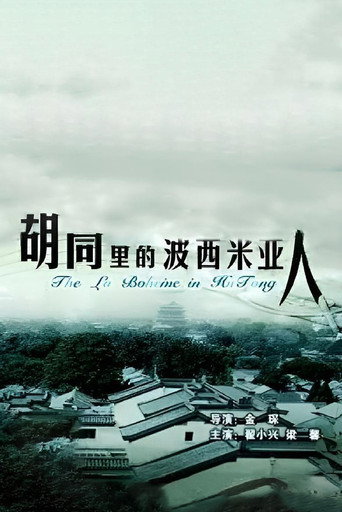 胡同里的波西米亚人海报