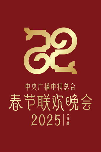 中央广播电视总台春节联欢晚会 2025年中央广播电视总台春节联欢晚会海报