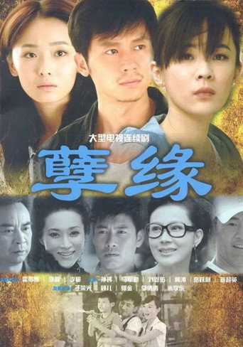 孽缘海报